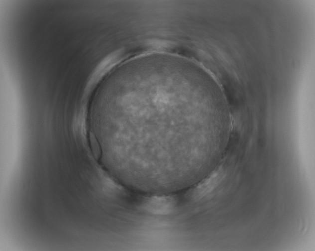 X0000113310101200909281132