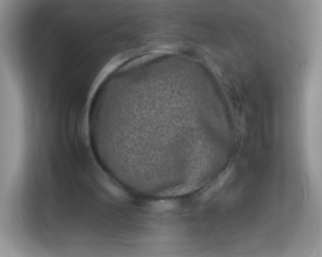 X0000113310102200909281132