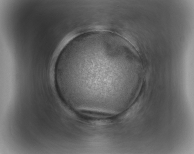 X0000113310103200909281132