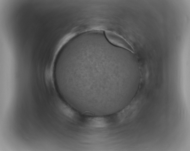 X0000113310104200909281132