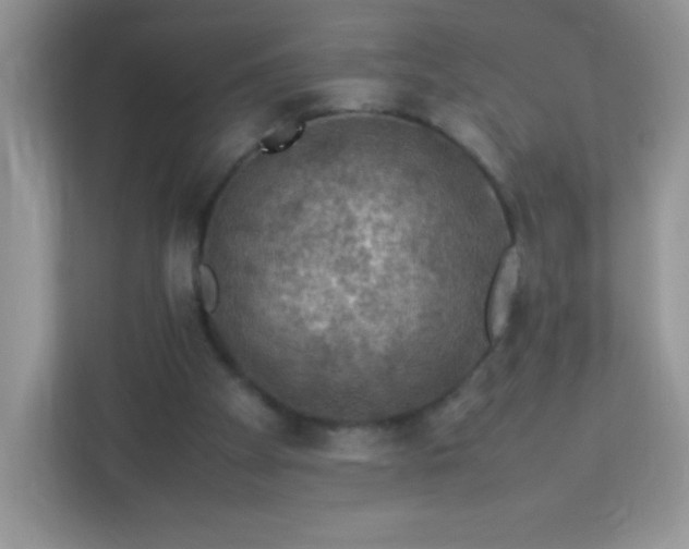 X0000113310105200909281132