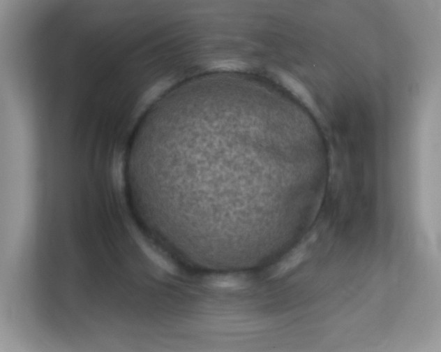 X0000113310106200909281132