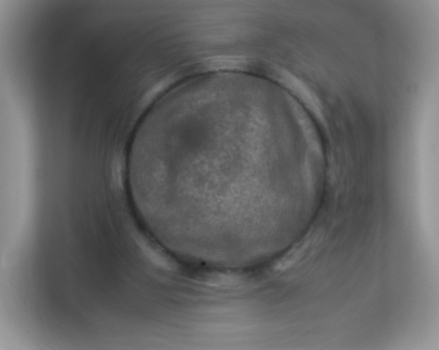 X0000113310107200909281132