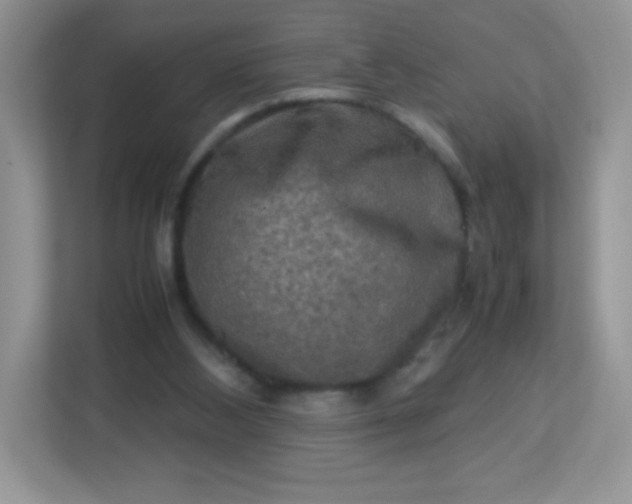 X0000113310108200909281132