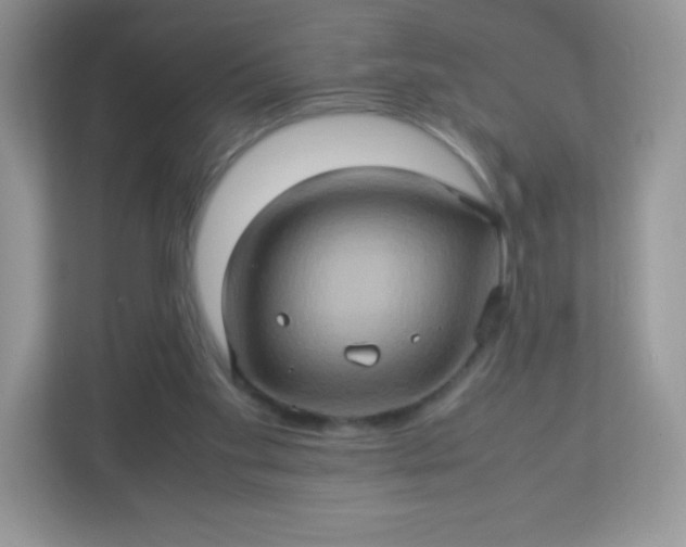 X0000113310109200909281132