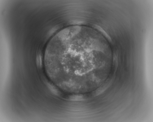 X0000113310110200909281132