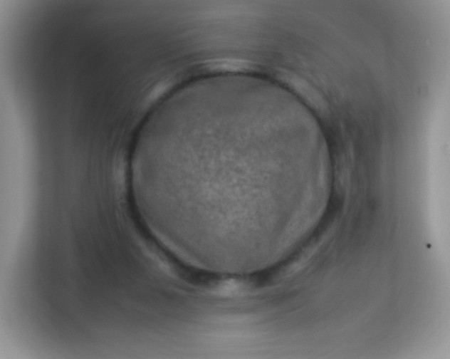 X0000113310111200909281132