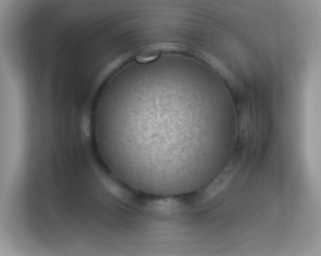 X0000113310112200909281132