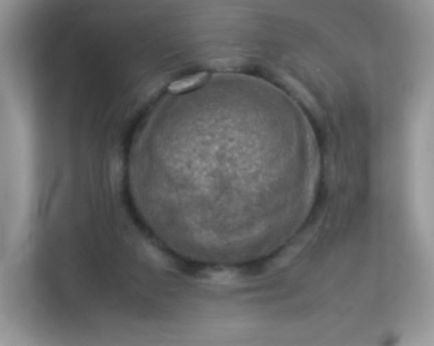 X0000113310113200909281132