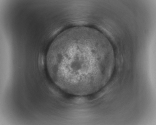 X0000113310115200909281132