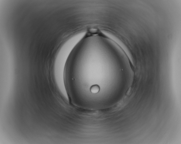 X0000113310116200909281132