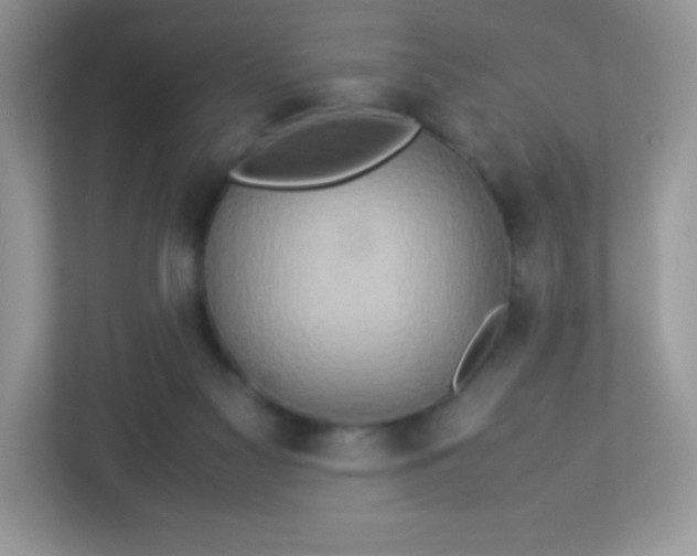 X0000113310117200909281132