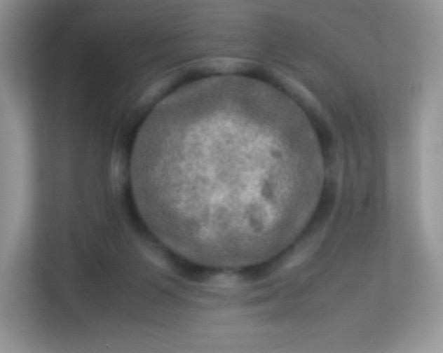 X0000113310119200909281132