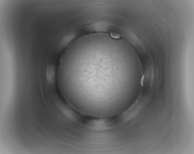 X0000113310120200909281132