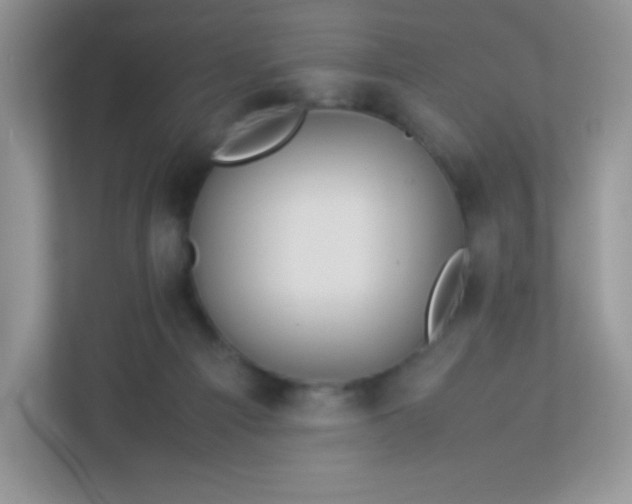 X0000113310121200909281132