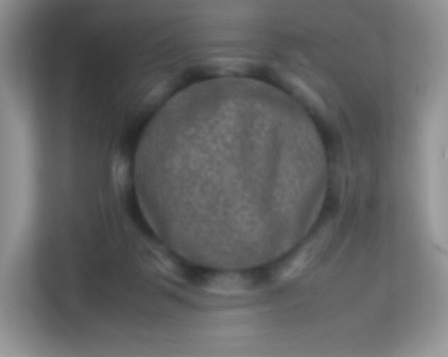 X0000113310123200909281132