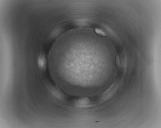 X0000113310124200909281132