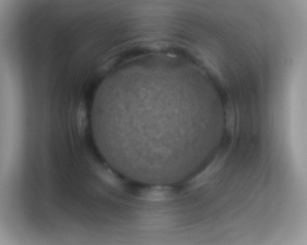 X0000113310128200909281132