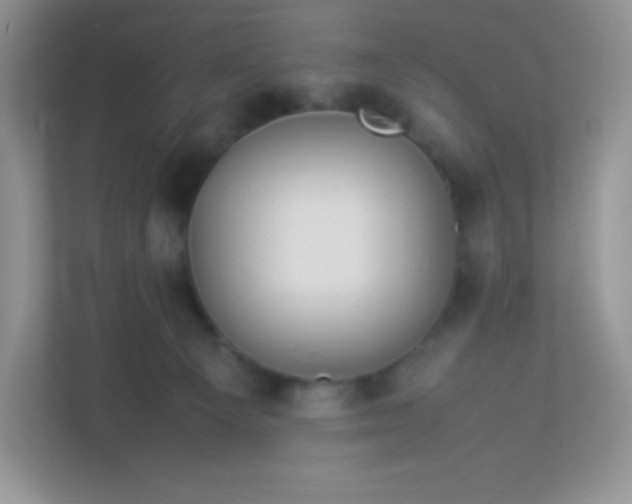 X0000113310129200909281132