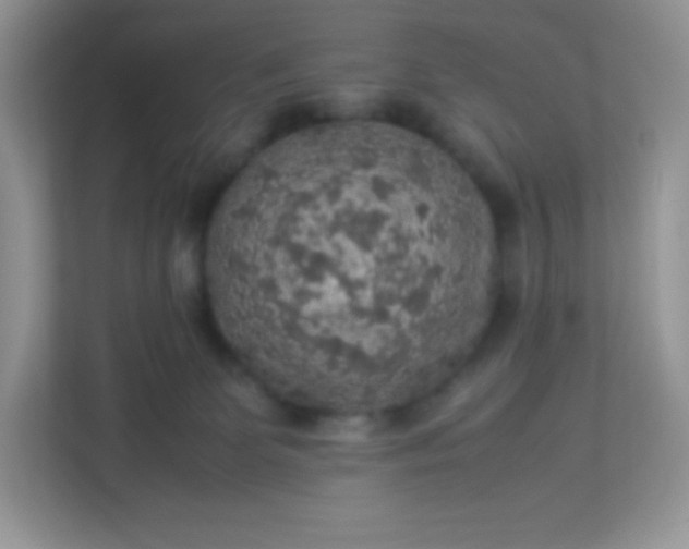 X0000113310131200909281132