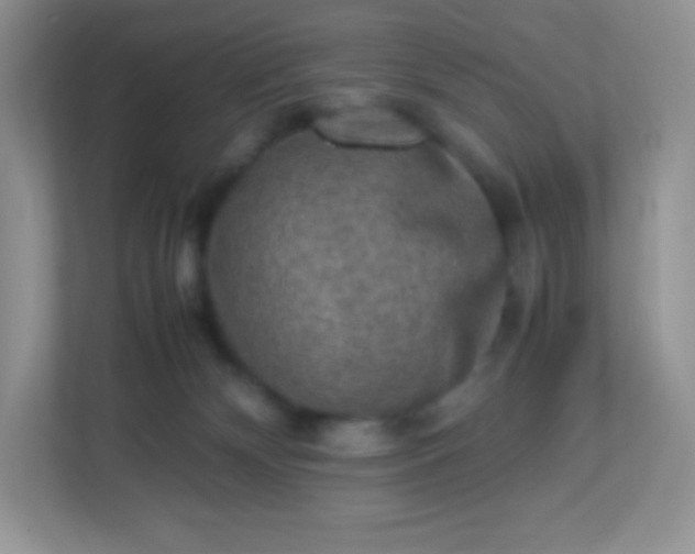 X0000113310132200909281132