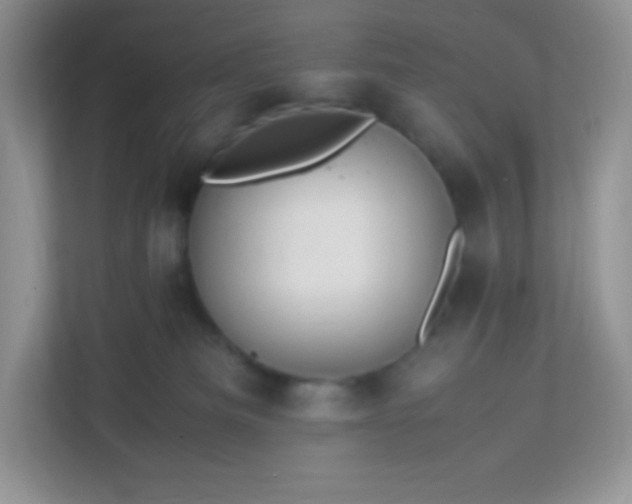 X0000113310133200909281132