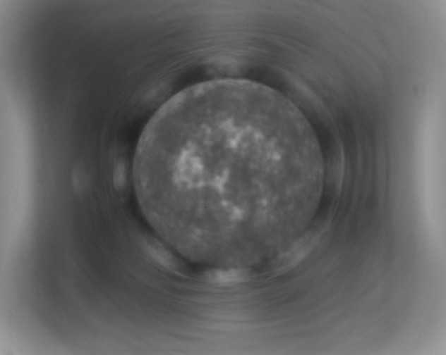 X0000113310134200909281132