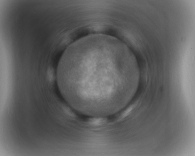 X0000113310135200909281132