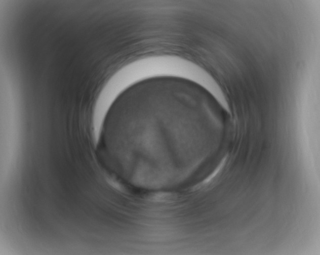 X0000113310136200909281132