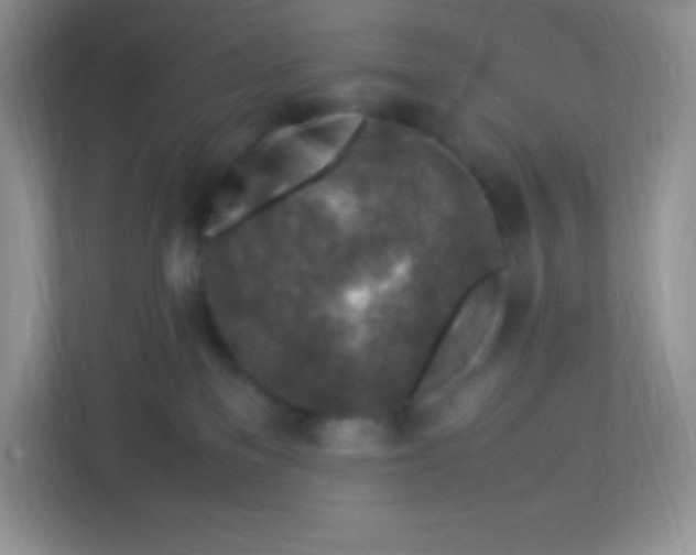 X0000113310137200909281132