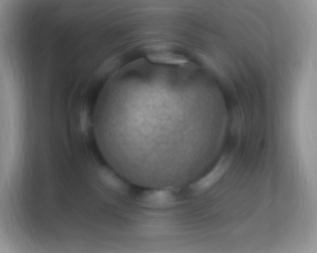 X0000113310140200909281132