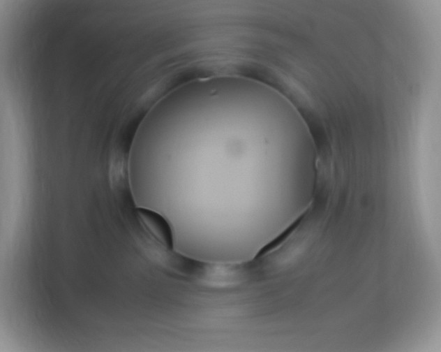 X0000113310141200909281132