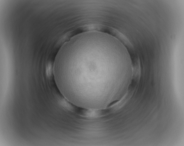 X0000113310142200909281132