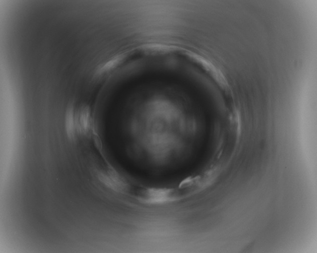 X0000113310143200909281132