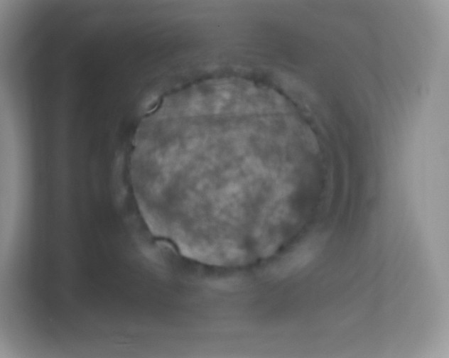 X0000113310144200909281132