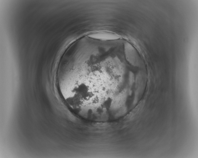 X0000113310145200909281131