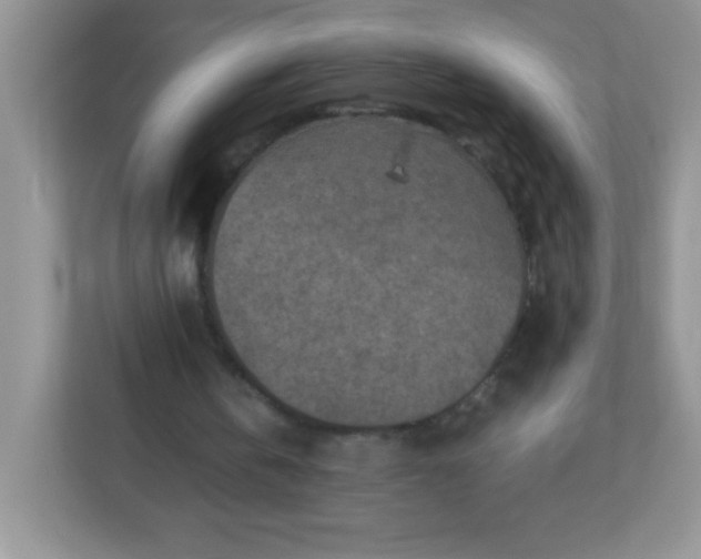 X0000113310146200909281131