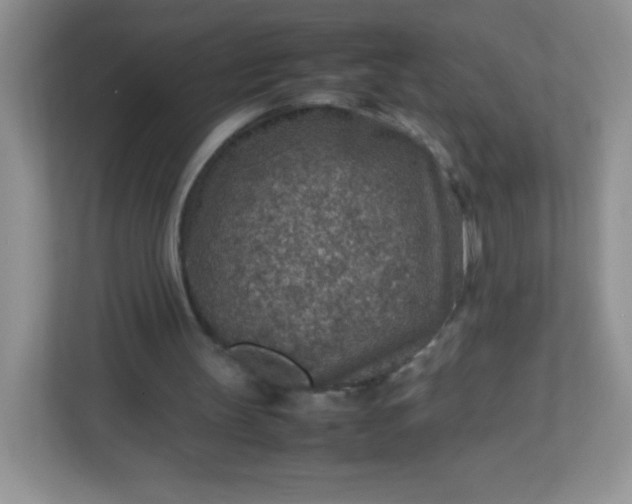 X0000113310147200909281131