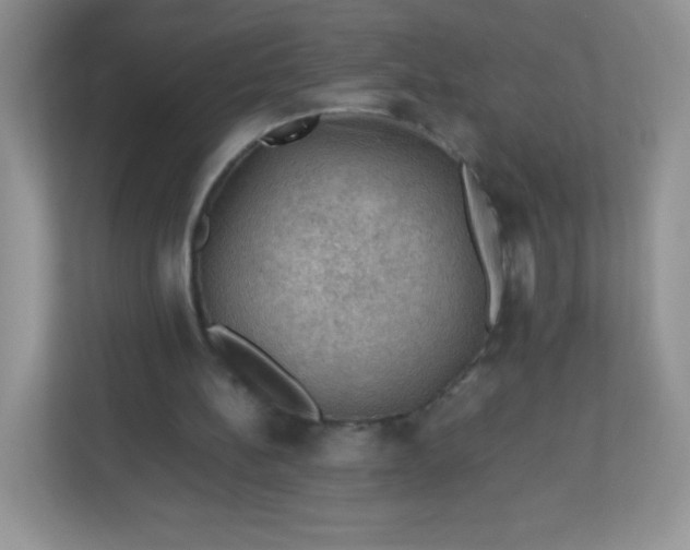 X0000113310148200909281131