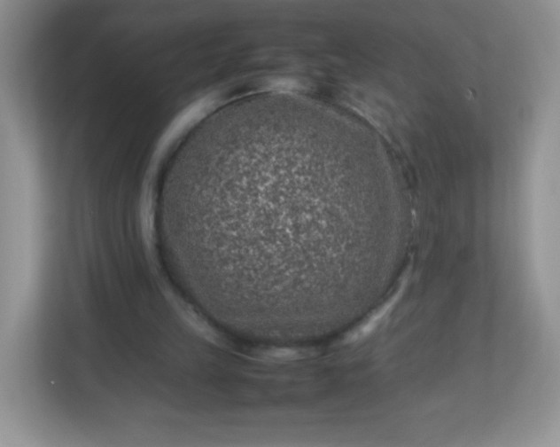 X0000113310149200909281131