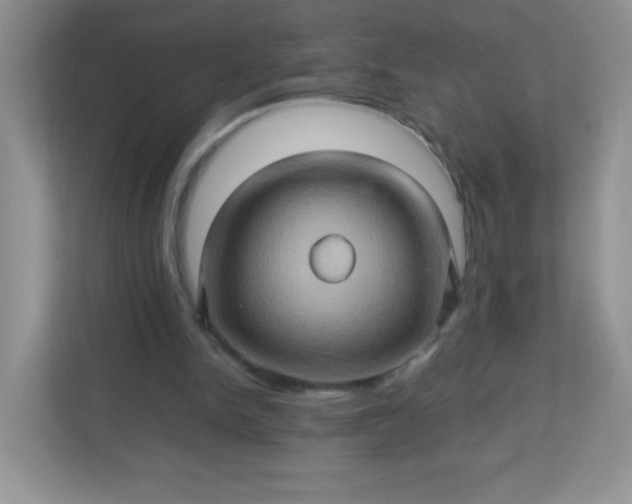 X0000113310150200909281131