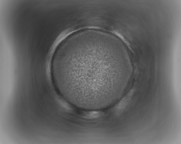 X0000113310151200909281131