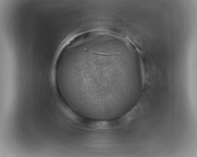 X0000113310152200909281131