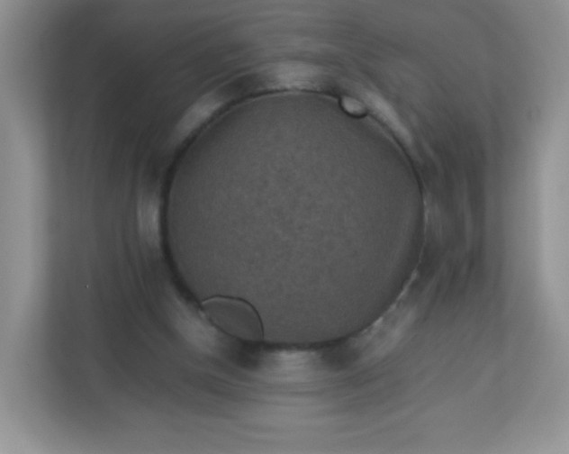 X0000113310154200909281131