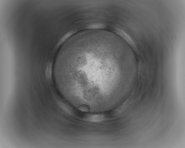 X0000113310155200909281131