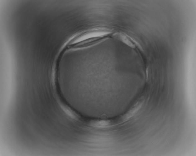 X0000113310156200909281131