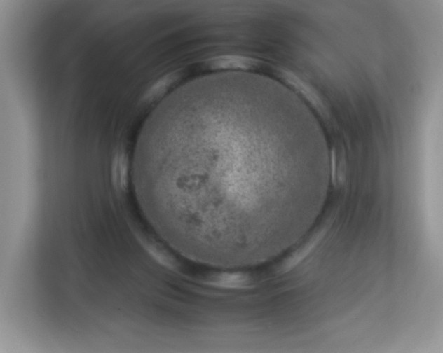 X0000113310157200909281131