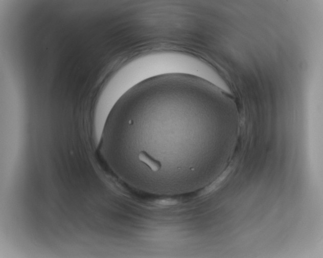 X0000113310158200909281131