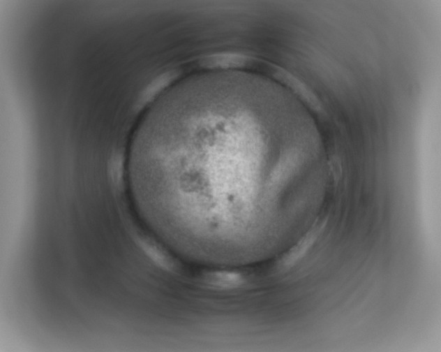 X0000113310159200909281131