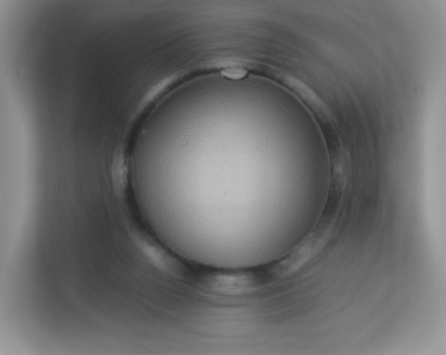 X0000113310160200909281131